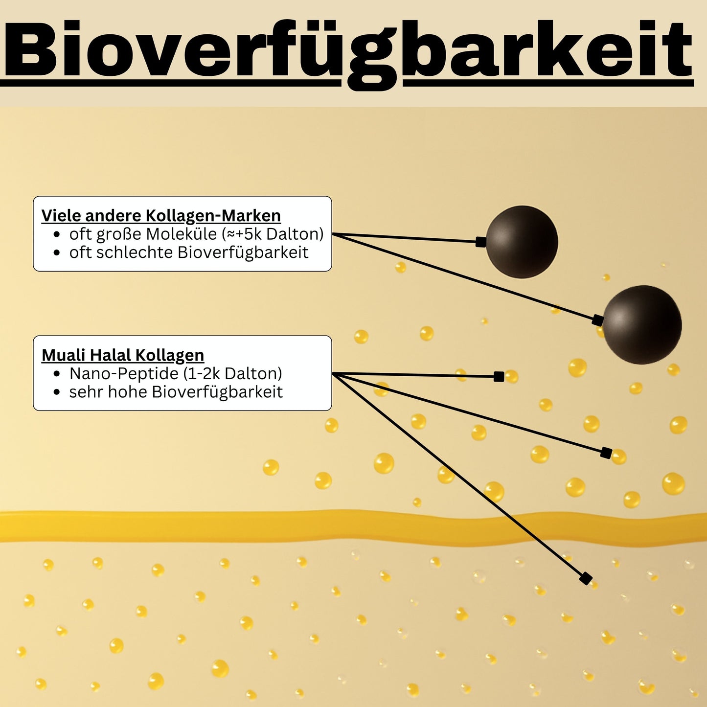 muali halal kollagen bioverfuegbarkeit