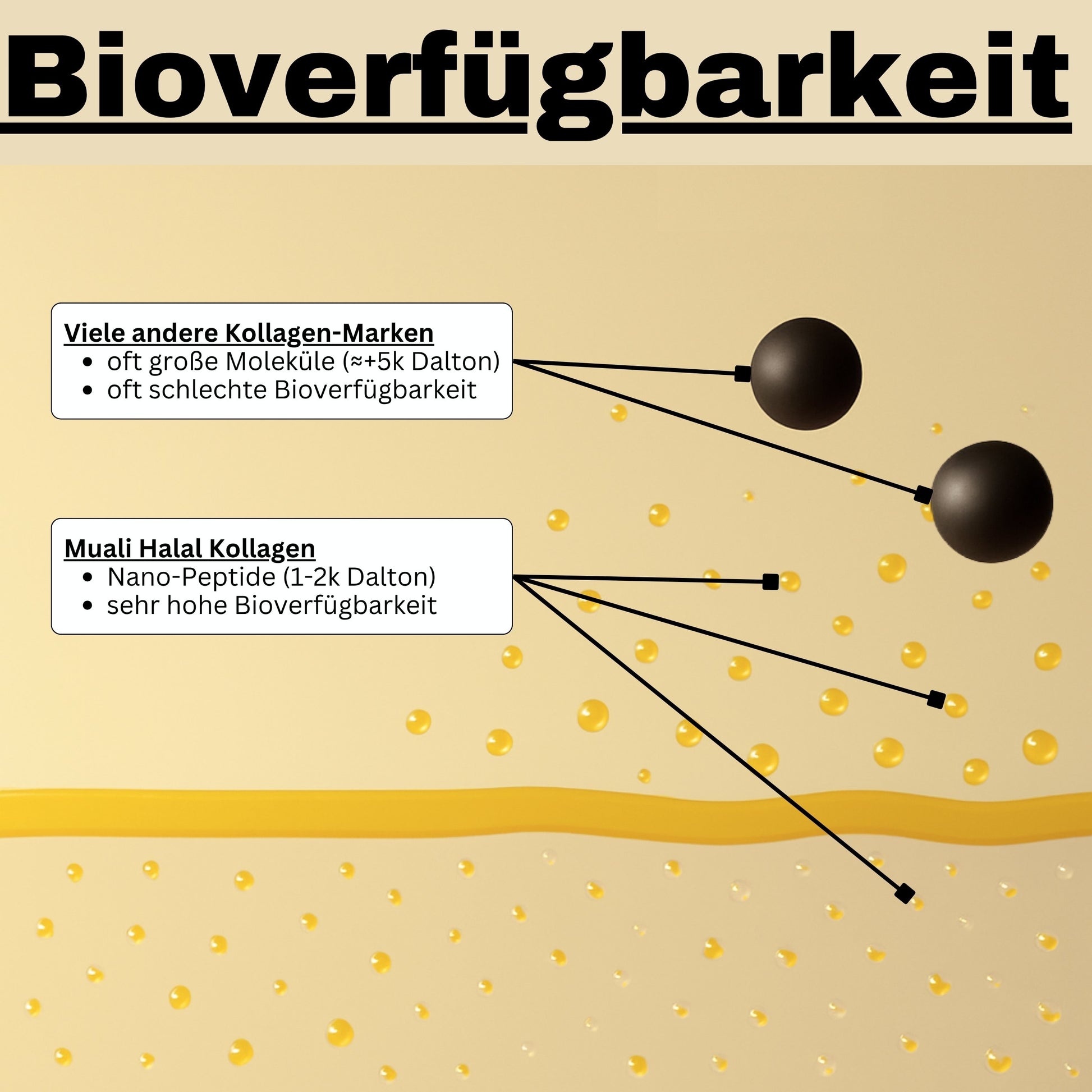muali halal kollagen bioverfuegbarkeit