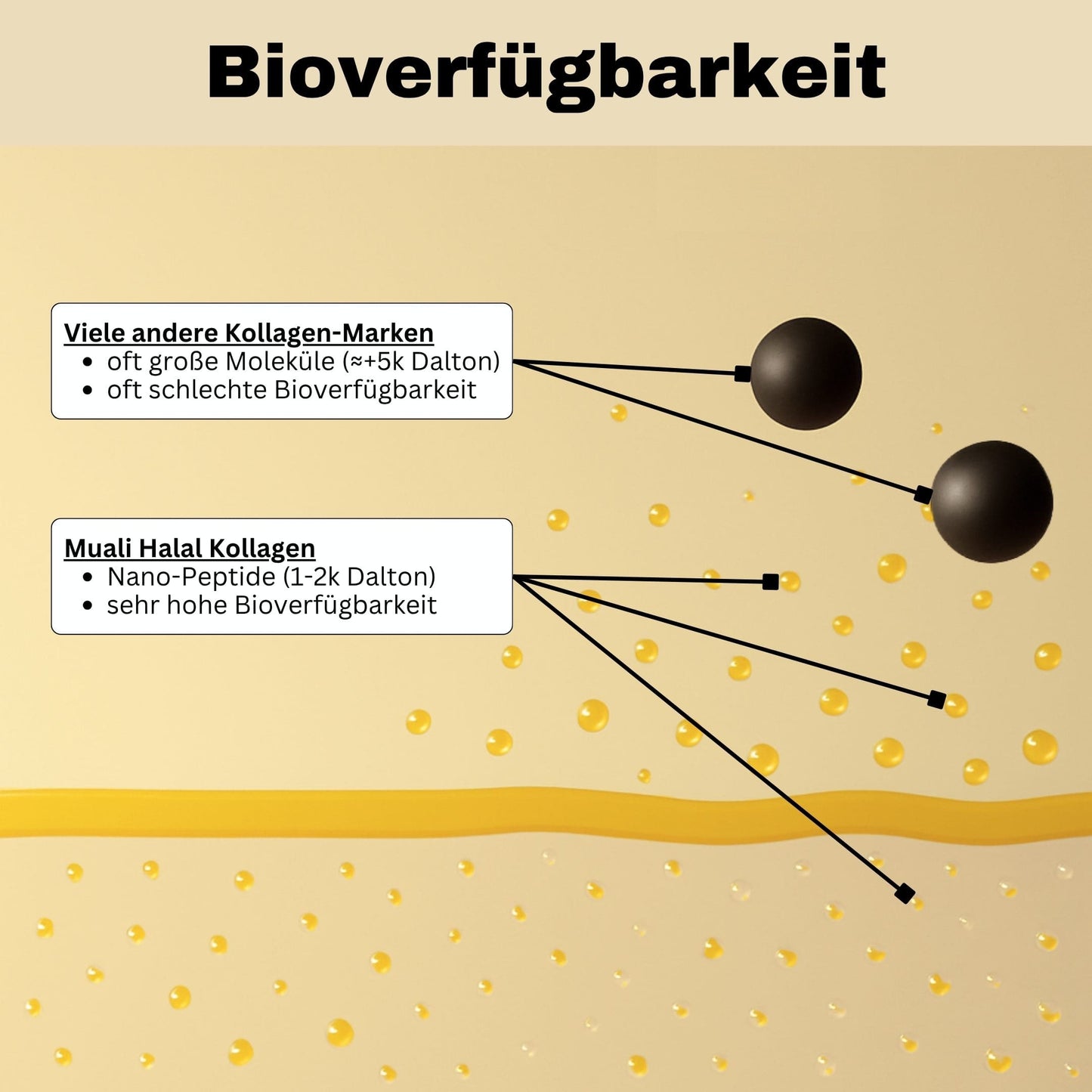 Halal Collagen Hydrolysiert | Grass-Fed | 3 Stück Bundle