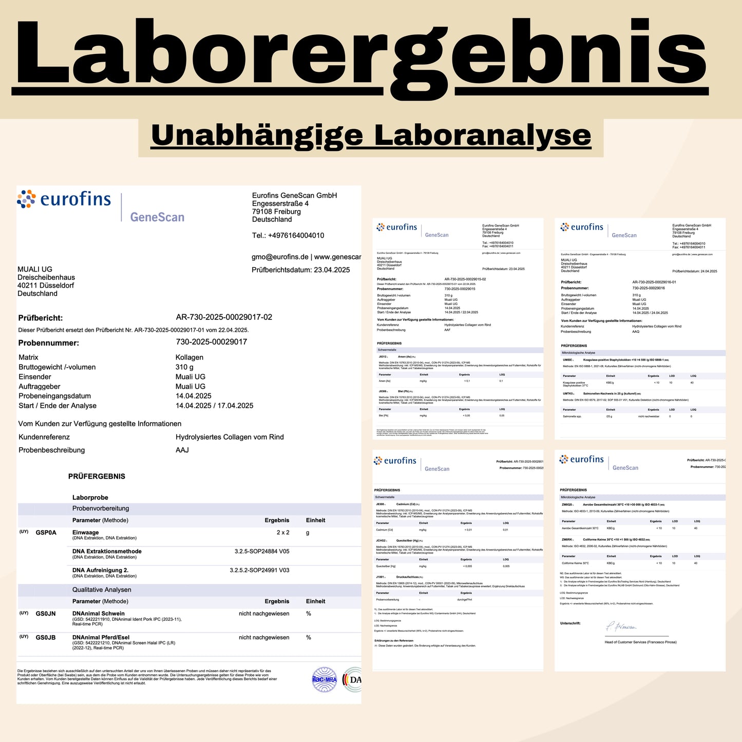 muali halal kollagen laborergebnis