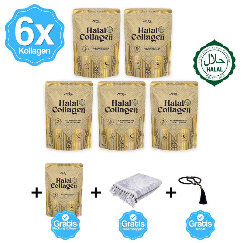 Familien-Set 6 + 2 Geschenke