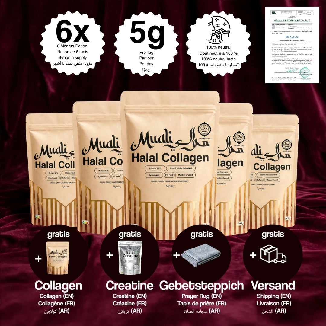 Familien-Set 6 + 2 Geschenke