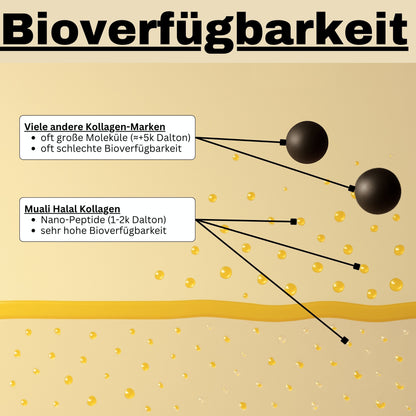 Halal Collagen Hydrolysiert | Grass-Fed | 3 Stück Bundle