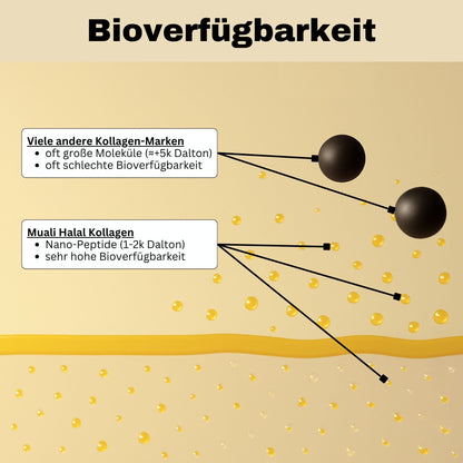 Halal Collagen Hydrolysiert | Grass-Fed | 3 Stück Bundle