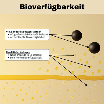 Bioverfügbarkeit