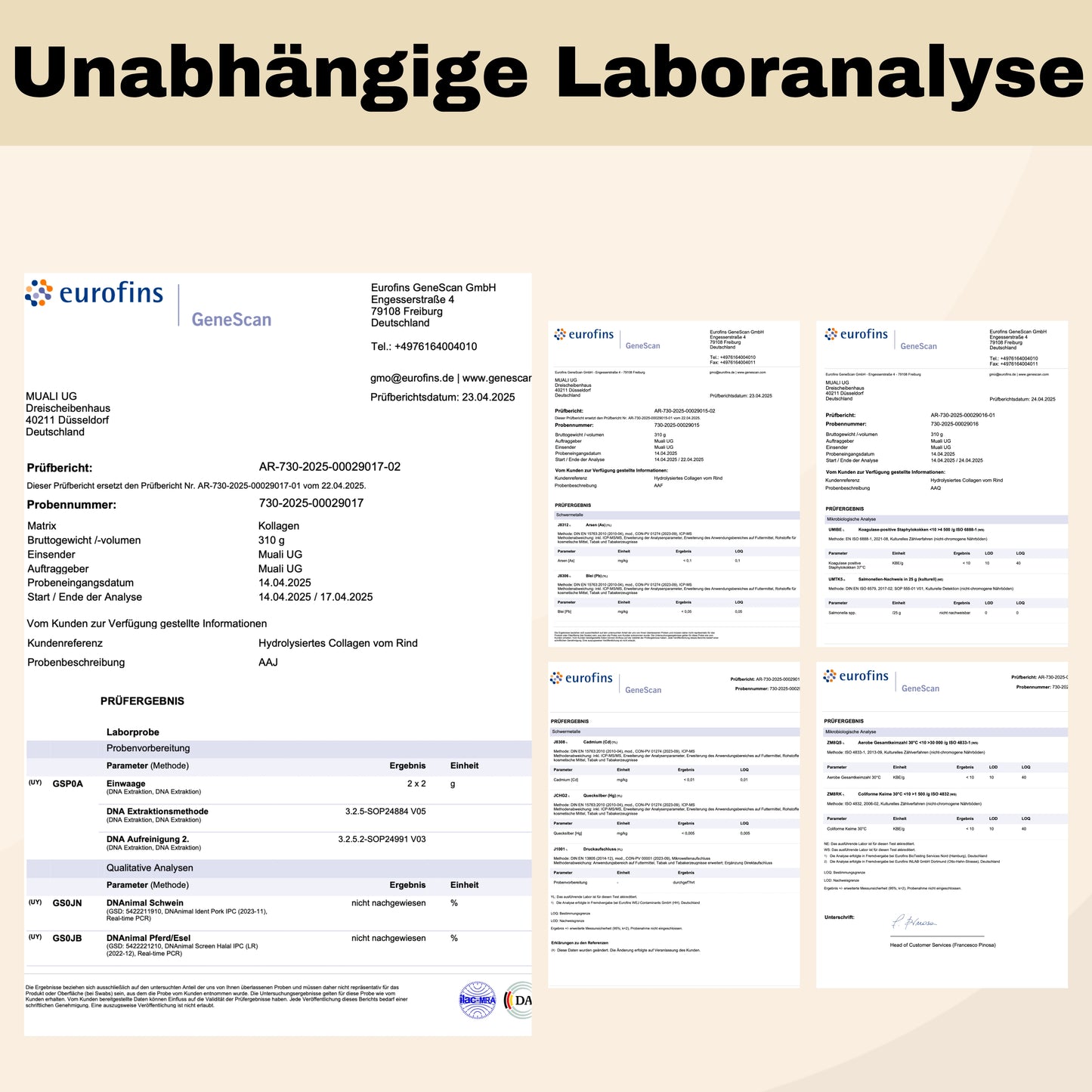 Muali Halal Kollagen – Unabhängige Laboranalyse